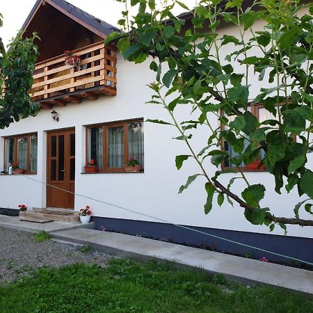 Pensiunea Ilea Ieud Esterno foto