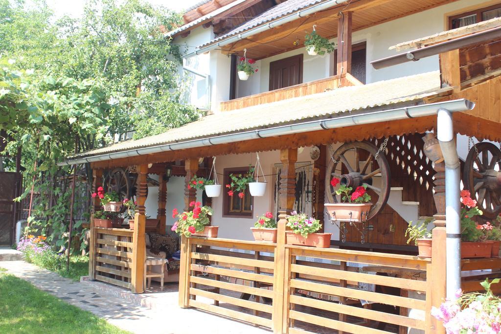 Pensiunea Ilea Ieud Esterno foto