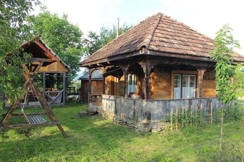 Pensiunea Ilea Ieud Esterno foto