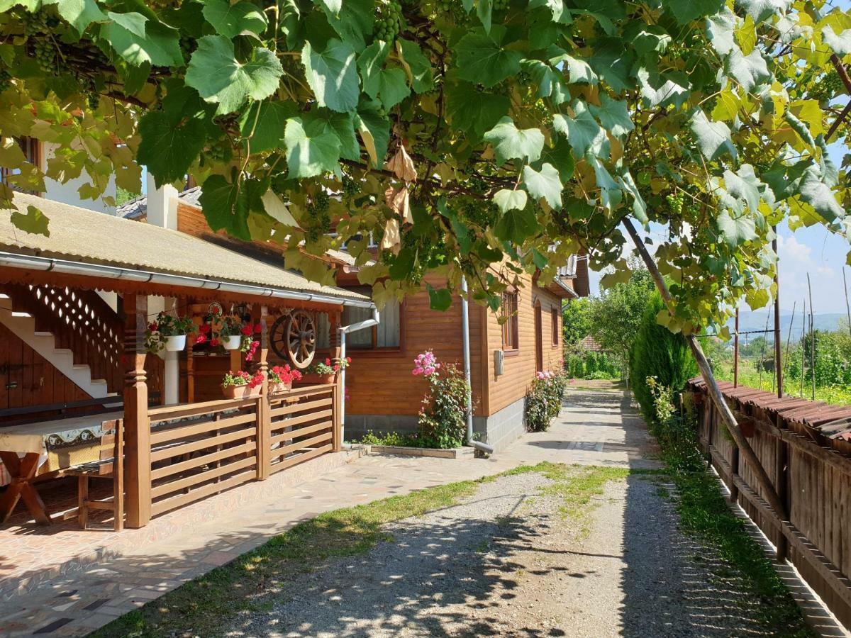 Pensiunea Ilea Ieud Esterno foto