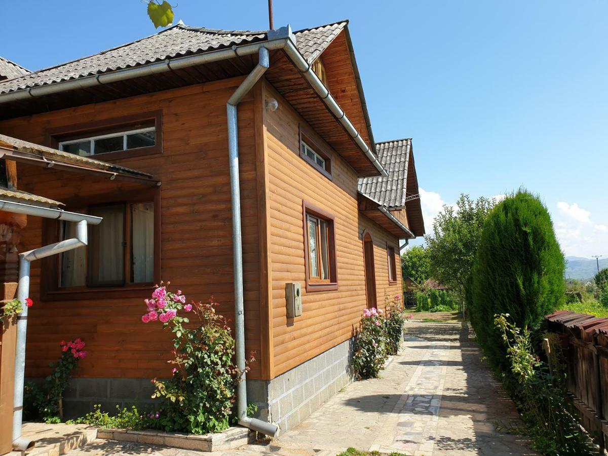 Pensiunea Ilea Ieud Esterno foto