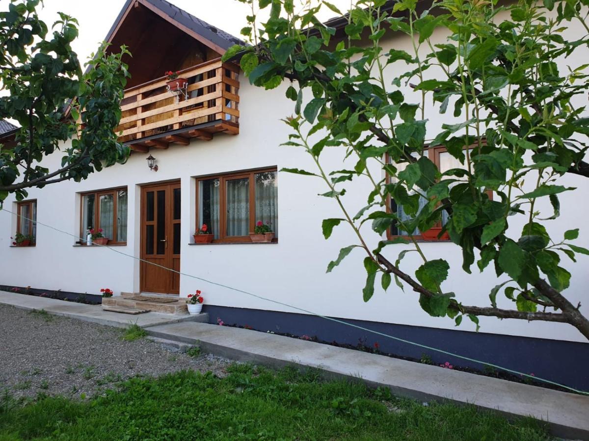 Pensiunea Ilea Ieud Esterno foto