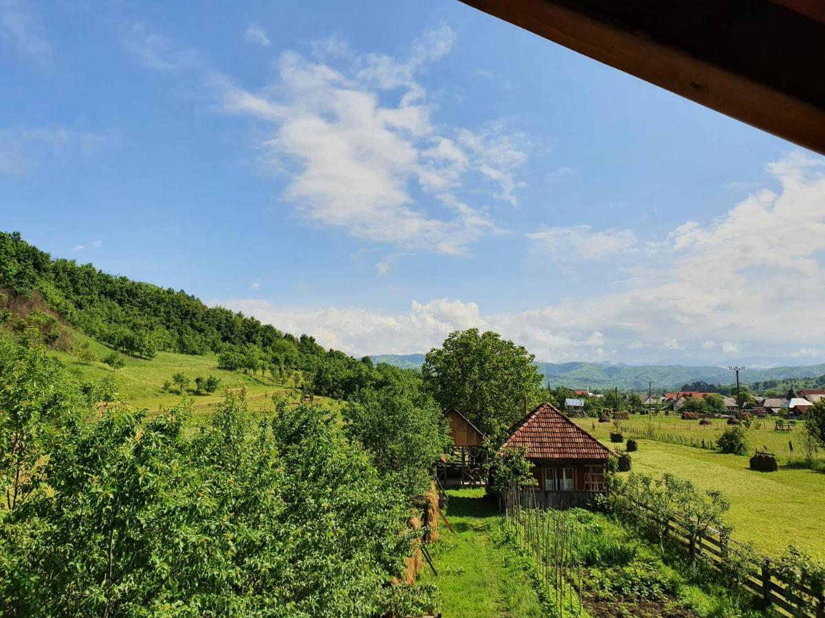 Pensiunea Ilea Ieud Esterno foto