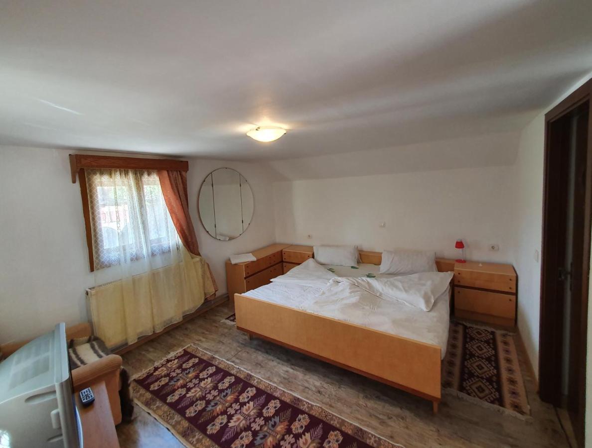Pensiunea Ilea Ieud Esterno foto